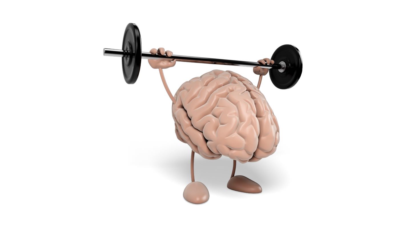 CEREBRO FIT